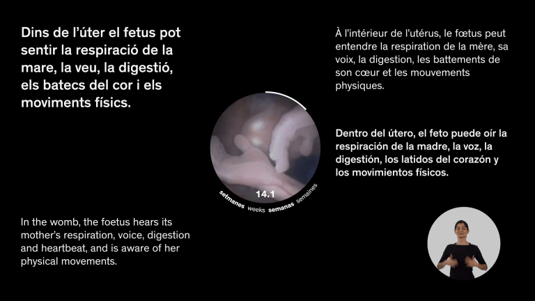 Utero_Highlights_womb0186