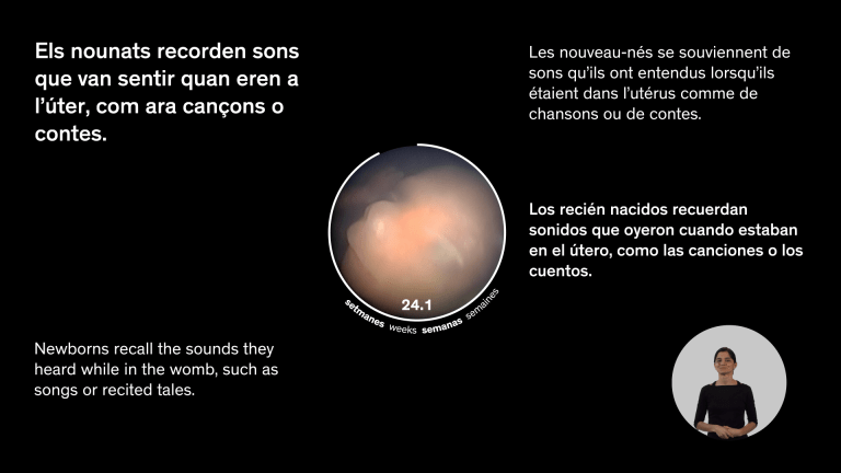 Utero_Highlights_womb1331